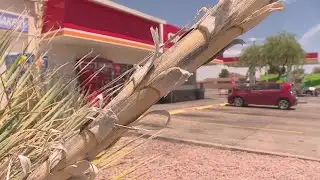 The quick thinking actions of a restaurant employee stops carjacker