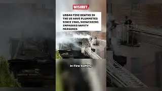 The Red Hook Fire: A Call for Enhanced Urban Fire Safety #shorts