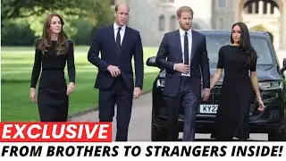 The Royal Rift EXPOSED: What Really Split William & Harry!
