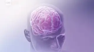 The science behind what makes people hate