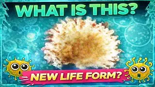 The Secret U.S. Space Nuclear Test They Kept Hidden for Years