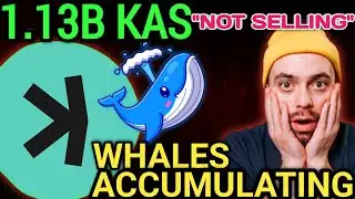 The SHOCKING Truth About Kaspa Massive 1.13 BILLION KAS Wallet
