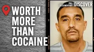 The Sinaloa Cartel’s New Goldmine | Documentary