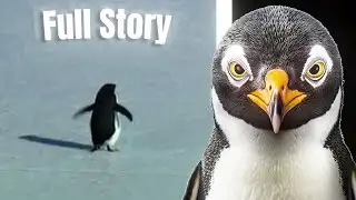 The Story Of The World