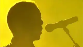 THE THE — THE SINKING FEELING (live)