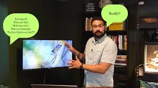 The TRUTH about Joro Spiders