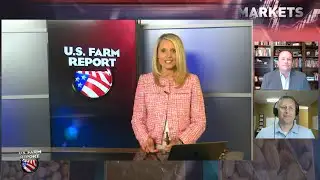 The Two Burning Questions for Wheat Prices Right Now