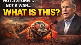 The Unexpected Reason Texas Just Declared a Statewide Disaster