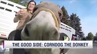 The unique way this librarian encourages students to read