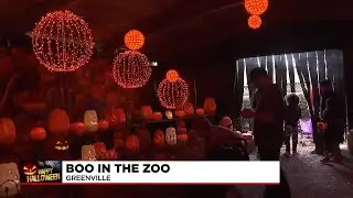 The Upstate celebrates Halloween