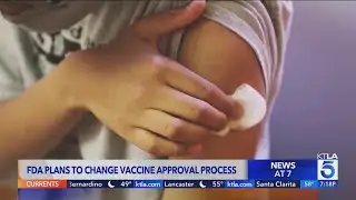 The Vaccine Debate: FDA to change approval process; CDC website links vaccines and autism