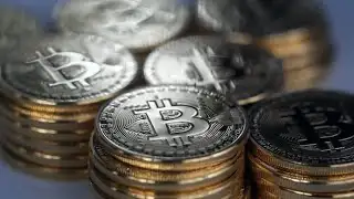 The Winklevoss Twins