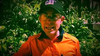 The Workplace Safety News - Young Workers & Contractors