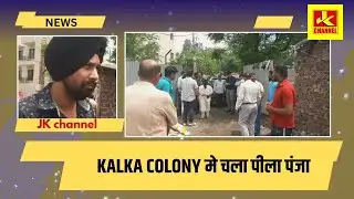 The yellow paw moved in Kalka Colony