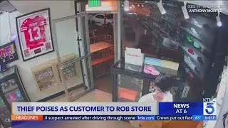 Thief poses as customer before stealing from Glendale store