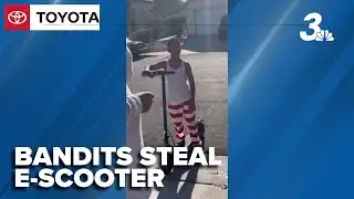 Thieves steal boy