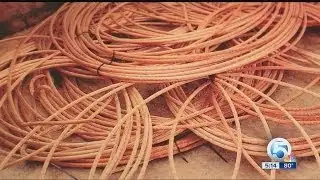 Thieves target traffic cameras for copper