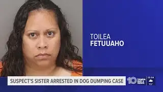 Third person arrested in case involving 12 dogs dumped at Largo park