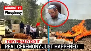 Third Temple Update: Red Heifer Ceremony finally Happened in Jerusalem