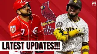 This CANNOT Be Ignored... | Daily St. Louis Cardinals News & Rumors