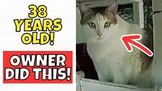 This Cat Lived to be 38-Years-Old! Here