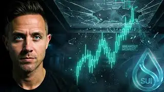 This Chart Has NEVER Been Wrong Before a Major Rally (SUI Is Flashing)