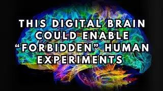 This Digital Brain Could Enable “Forbidden” Human Experiments