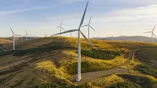 ‘This does happen’: Windfarm turbine fires pose significant risk to environment