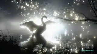 This finds you right before 𝐌𝐀𝐉𝐎𝐑 good news. [🍀🦢🪽]