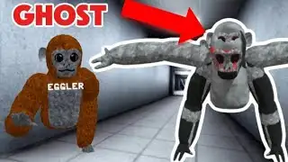 THIS GHOST HAUNTS SCARY BABOON AT 3 AM!!
