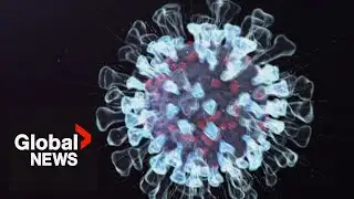 This H3N2 flu strain is spreading ‘rapidly’ in Canada. Why subclade K is hitting hard