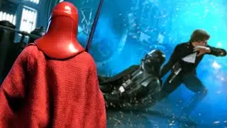 This is what the Honor Guard did when Vader killed Palpatine