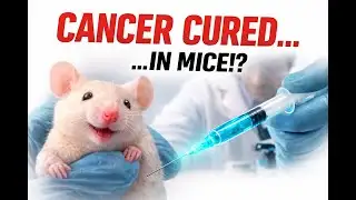 This Isn’t a Miracle — Scientists Cure Pancreatic Cancer in Mice Explained