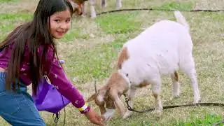 This Just In 828: January 5, 2026