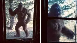 This Man Captures The Clearest Bigfoot Image In Existence