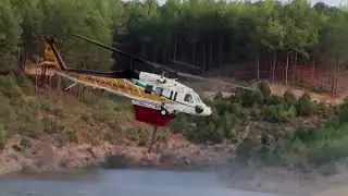 This nature-inspired device aims to detect wildfires early | REUTERS