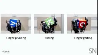This robotic hand learned dexterity from an AI | Science News