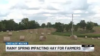 This year’s weather posing challenges for Ky. hay farmers