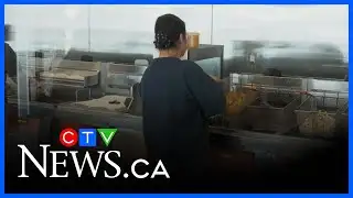 Thousands of restaurants closing in Canada?