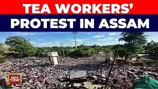 Thousands of Tea Workers Staged a Massive Protest in Assam | India Today
