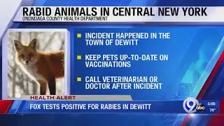 Three adults attacked by rabid fox in DeWitt