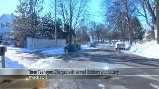 Three Madison teenagers charged with armed robbery and battery