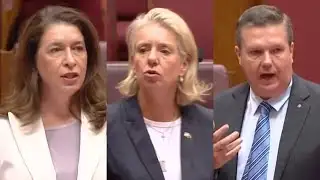 Three National Senators resign from shadow cabinet