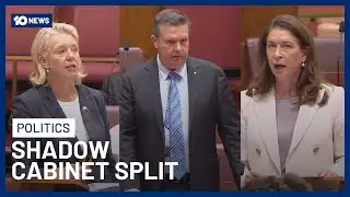 Three National Senators Set To Be Sacked From Shadow Cabinet After Hate Laws Vote | 10 News