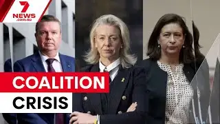 Three Nationals senators quit shadow cabinet after breaking ranks over hate speech laws | 7NEWS