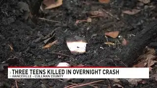 Three teens killed in single-vehicle crash in Cullman County