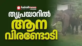 തൃശൂർ തൃപ്രയാറിൽ  ലോറിയിൽ നിന്ന്  ഇറക്കവേ ആന വിരണ്ടോടി | THRISSUR