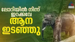 തൃശ്ശൂരിൽ ലോറിയിൽ നിന്ന് ഇറക്കുന്നതിനിടയിൽ ആന ഇടഞ്ഞു; വീടുകളുടെ ​ഗേറ്റ് തകർത്തു | Thrissur