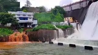 തൃശൂര്‍ ജില്ലയിലെ പീച്ചി, ചിമ്മിനി ഡാമുകള്‍ തുറന്നു| Thrissur | Dam open