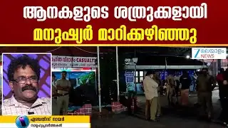 Thrissur Elephant Attack | ആനകൾ മനുഷ്യരിൽ നിന്ന് അനുഭവിക്കുന്നത് കടുത്ത പീഡനം